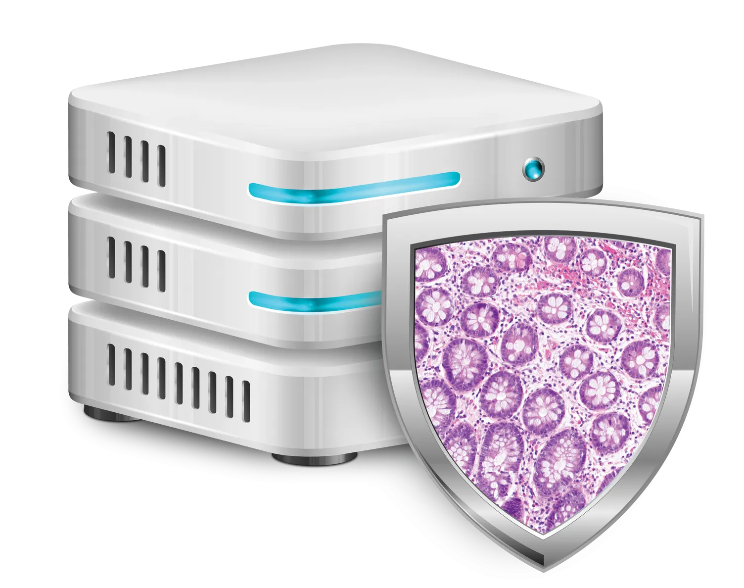 Genius IMS for histology on white background